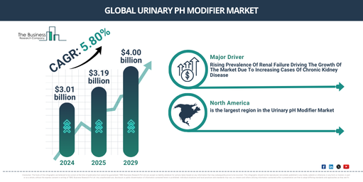 Urinary pH Modifier Industry Growth Expected to Reach $3.99 Billion by 2029 at a CAGR of 5.7% | Segmentation and Growth Opportunities