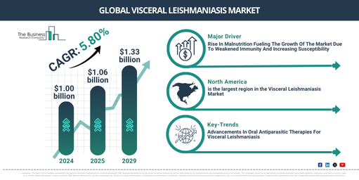 Visceral Leishmaniasis Industry Insights 2025 – Market Forecast for Executives and Planners