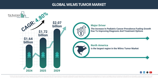 Wilms Tumor Market Outlook 2025 – Insights for Executive and Strategic Planning