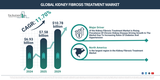 Kidney Fibrosis Treatment Market to Reach $10.78 Billion by 2029 | Key Drivers and Future Outlook