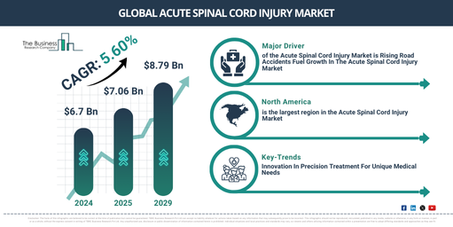 Global Acute Spinal Cord Injury Market