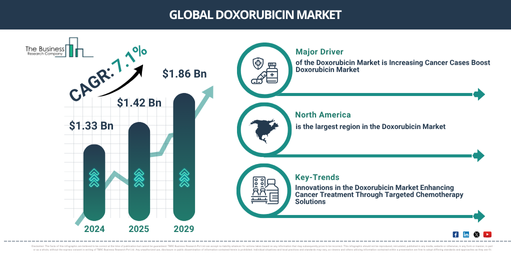 Global Doxorubicin Market