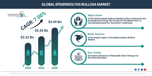 Global Epidermolysis Bullosa Market