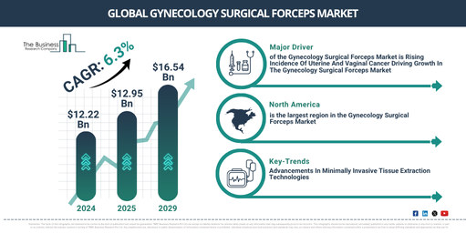 Global Gynecology Surgical Forceps Market Projected to Reach $16.54 Billion by 2029 at a CAGR of 6.3%
