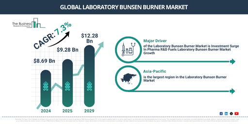 Global Laboratory Bunsen Burner Market