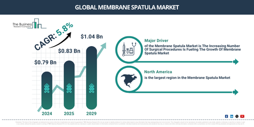 Global Membrane Spatula Market