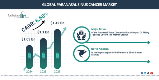 Global Paranasal Sinus Cancer Market