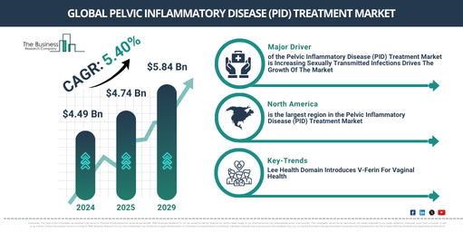 Global Pelvic Inflammatory Disease (PID) Treatment Market