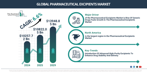 Global Pharmaceutical Excipients Market