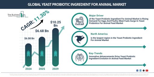 Global Yeast Probiotic Ingredient For Animal Market