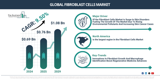 Global Fibroblast Cells Market