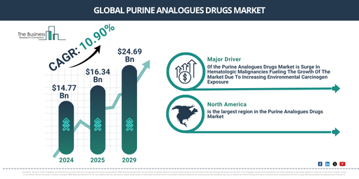 Global Purine Analogues Drugs Market