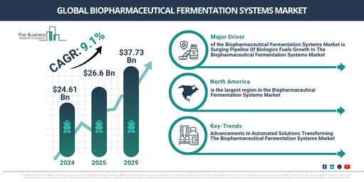Global Biopharmaceutical Fermentation Systems Market