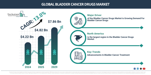 Bladder Cancer Drugs Market – Opportunities, Share, Growth and Competitive Analysis and Forecast 2029