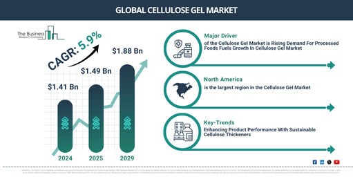 Global Cellulose Gel Market