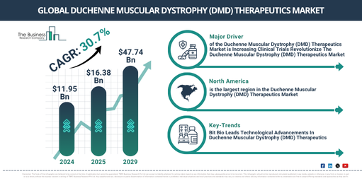 Global Duchenne Muscular Dystrophy (DMD) Therapeutics Market