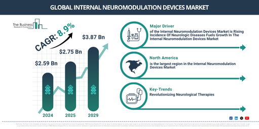 Global Internal Neuromodulation Devices Market