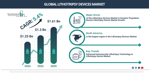 Global Lithotripsy Devices Market