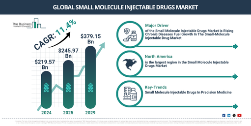 Global Small Molecule Injectable Drugs Market