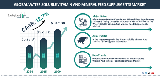 Global Water-Soluble Vitamin And Mineral Feed Supplements Market