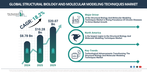 What Key Growth Drivers Are Shaping The Structural Biology And Molecular Modeling Techniques Market Forecast Toward $20.07 Billion?