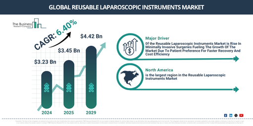 Global Reusable Laparoscopic Instruments Market