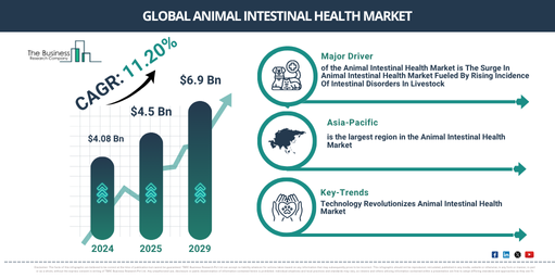 Global Animal Intestinal Health Market
