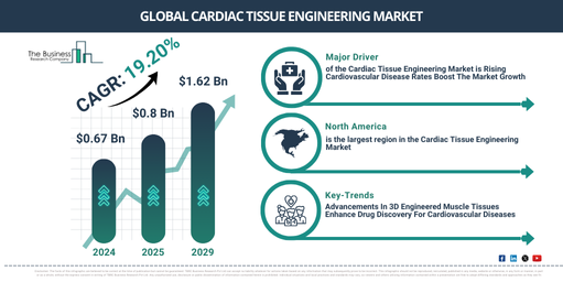 Global Cardiac Tissue Engineering Market