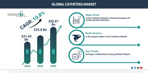 Global Catheters Market
