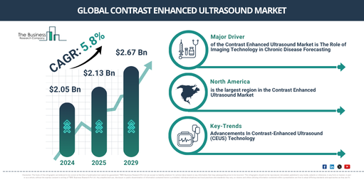 Global Contrast Enhanced Ultrasound Market