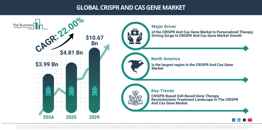 Global CRISPR And Cas Gene Market