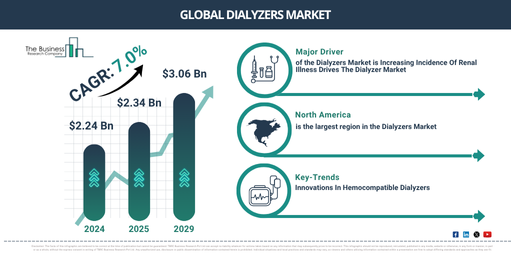 Global Dialyzers Market