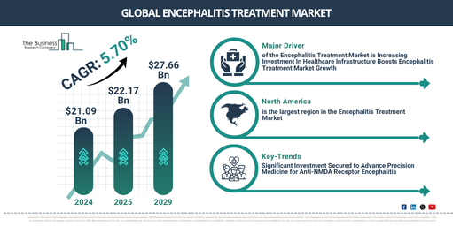 Global Encephalitis Treatment Market