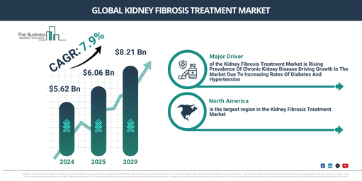 Global Kidney Fibrosis Treatment Market