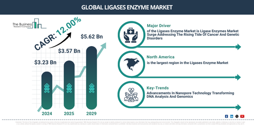 Global Ligases Enzyme Market