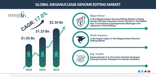Global Meganuclease Genome Editing Market