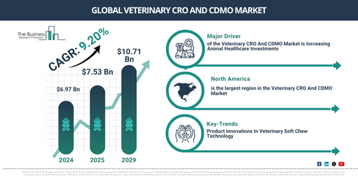 Global Veterinary CRO And CDMO Market