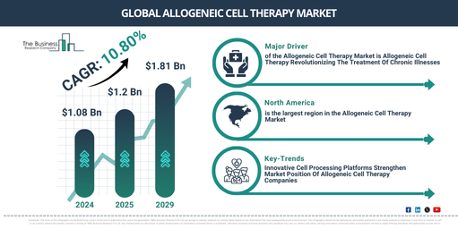 Global Allogeneic Cell Therapy Market Forecast 2029: Size, Share, and Competitive Landscape