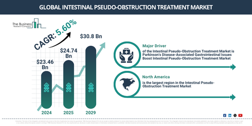 Global Intestinal Pseudo-Obstruction Treatment Market Trends and Future Outlook to 2029
