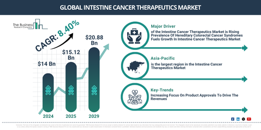 Global Intestine Cancer Therapeutics Market Insights 2029: Drivers, Challenges, and Revenue Forecast