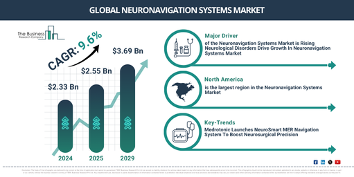 Global Neuronavigation Systems Market Revenue and Share Analysis Through 2029