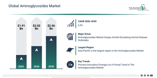 Global Aminoglycosides Market