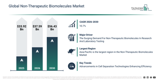 Global Non-Therapeutic Biomolecules Market 2026–2030: Forecast Insights for Business Planning