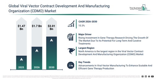 Global Viral Vector Contract Development And Manufacturing Organization (CDMO) Market