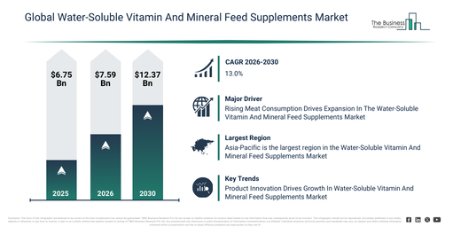 Water-Soluble Vitamin And Mineral Feed Supplements Market Forecast: How Big Will It Be by 2030?