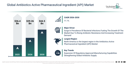Global Antibiotics Active Pharmaceutical Ingredient (API) Market