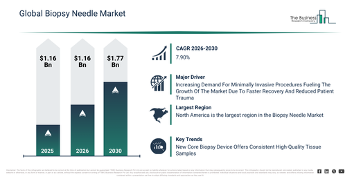 Global Biopsy Needle Market