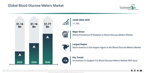Global Blood Glucose Meters Market