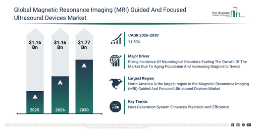 Global Magnetic Resonance Imaging (MRI) Guided And Focused Ultrasound Devices Market