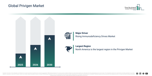 Global Privigen Market